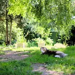 Ostsee-gutshaus Am Salzhaff Pepelow Naehe Rerik- Am Residieren!
