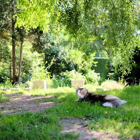 Ostsee-gutshaus Am Salzhaff Pepelow Naehe Rerik- Am Residieren!