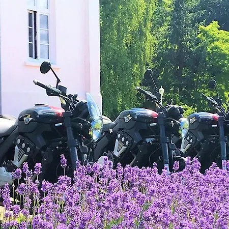 Ostsee-gutshaus Am Salzhaff Pepelow Naehe Rerik- Am Residieren! Daire