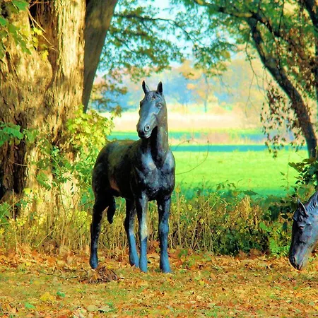 Ostsee-gutshaus Am Salzhaff Pepelow Naehe Rerik- Am Residieren! Appartamento *
