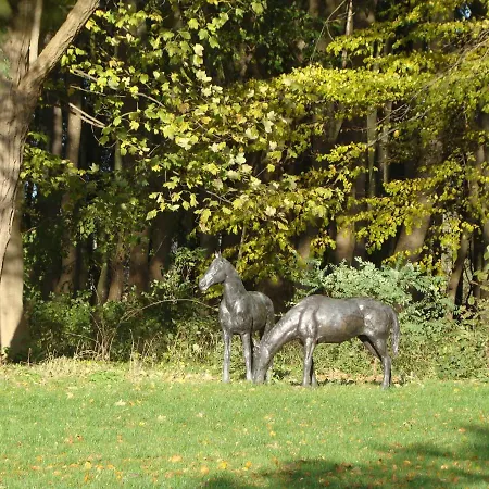 Ostsee-gutshaus Am Salzhaff Pepelow Naehe Rerik- Am Residieren! Klein Stromkendorf