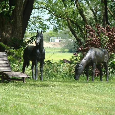 Ostsee-gutshaus Am Salzhaff Pepelow Naehe Rerik- Am Residieren! *