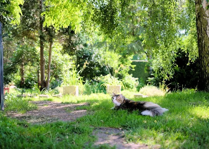 Ostsee-gutshaus Am Salzhaff Pepelow Naehe Rerik- Am Residieren!