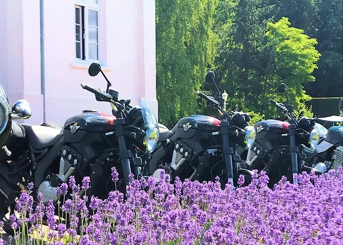 Ostsee-gutshaus Am Salzhaff Pepelow Naehe Rerik- Am Residieren! Lägenhet